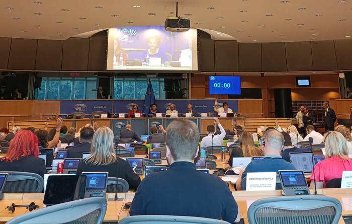 EU Vote EU Parliament